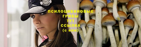 дживик Абаза