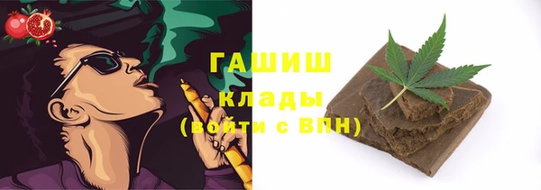 дживик Абаза