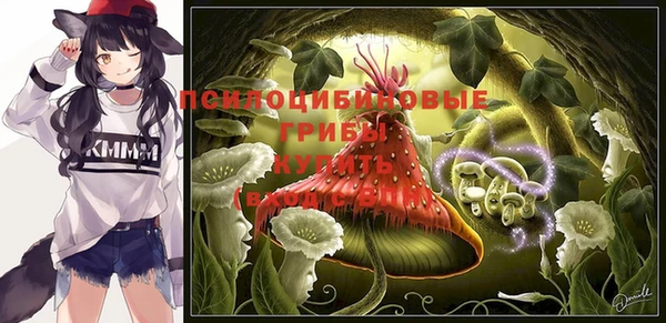 a pvp Абинск