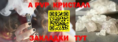 стаф Анжеро-Судженск