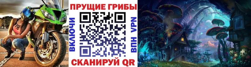 где купить наркоту  Братск  Галлюциногенные грибы MAGIC MUSHROOMS 