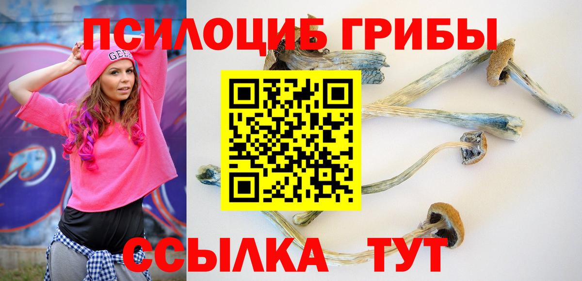 Галлюциногенные грибы GOLDEN TEACHER  Вход с VPN  цены наркотик  Братск 